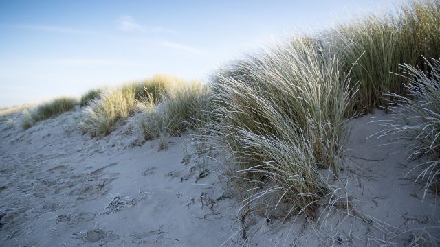 Winterdüne